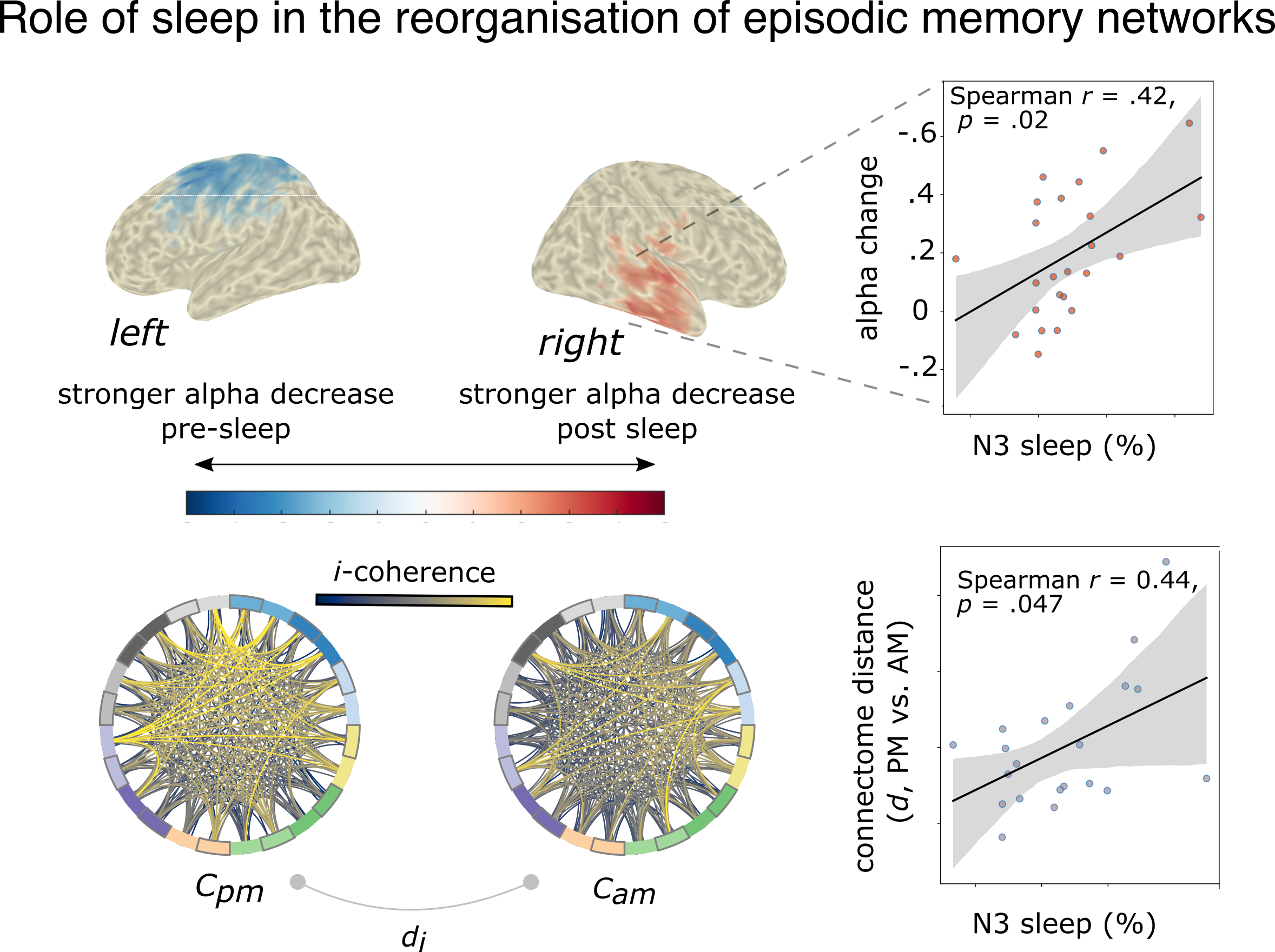 Sleep Memory